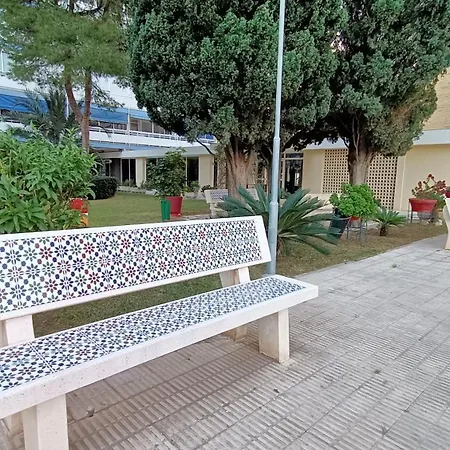2apa Homestay Alicante