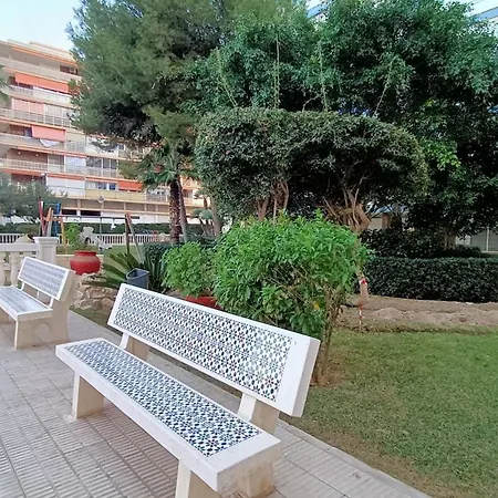 2apa *