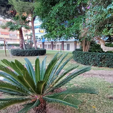 2apa אליקאנטה