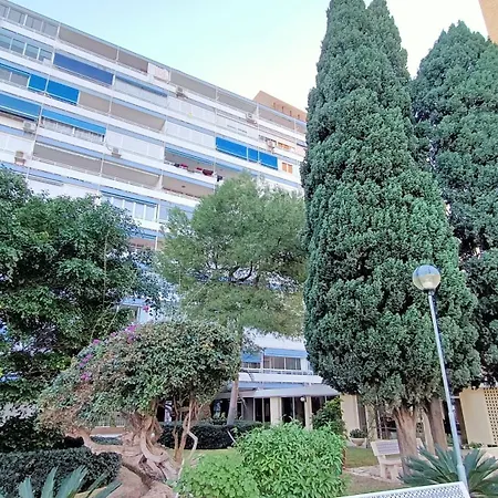 Homestay 2apa Alicante